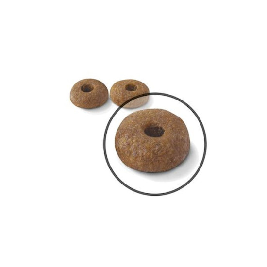 Royal Canin Appetite Control Care Adult – Hrană Uscată pentru Pisici Adulte cu Tendință de Îngrășare – 10 kg